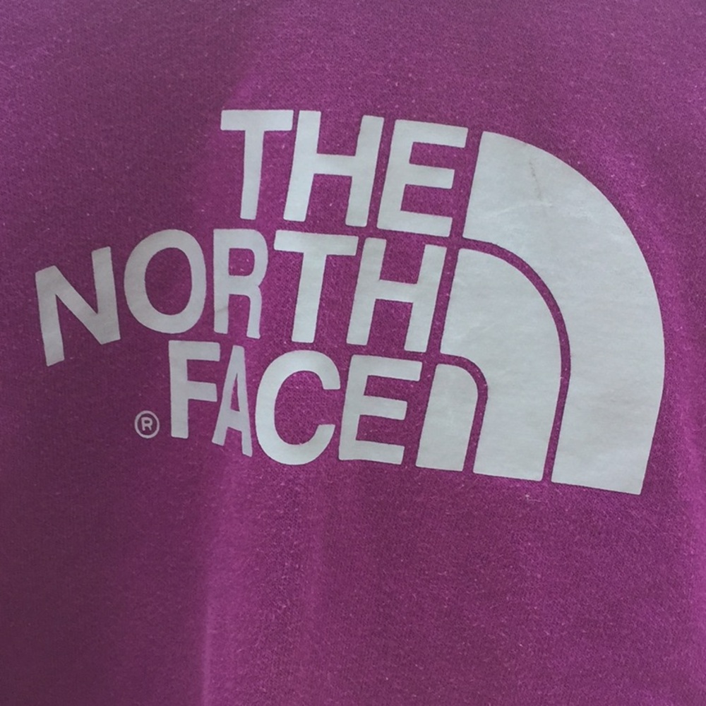 The North Face crop hoodie sweatshirt. - Picture 2 of 8